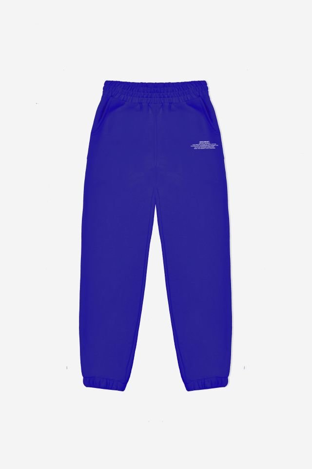 BeFourOut Printed Saxe Blue Sweatpants