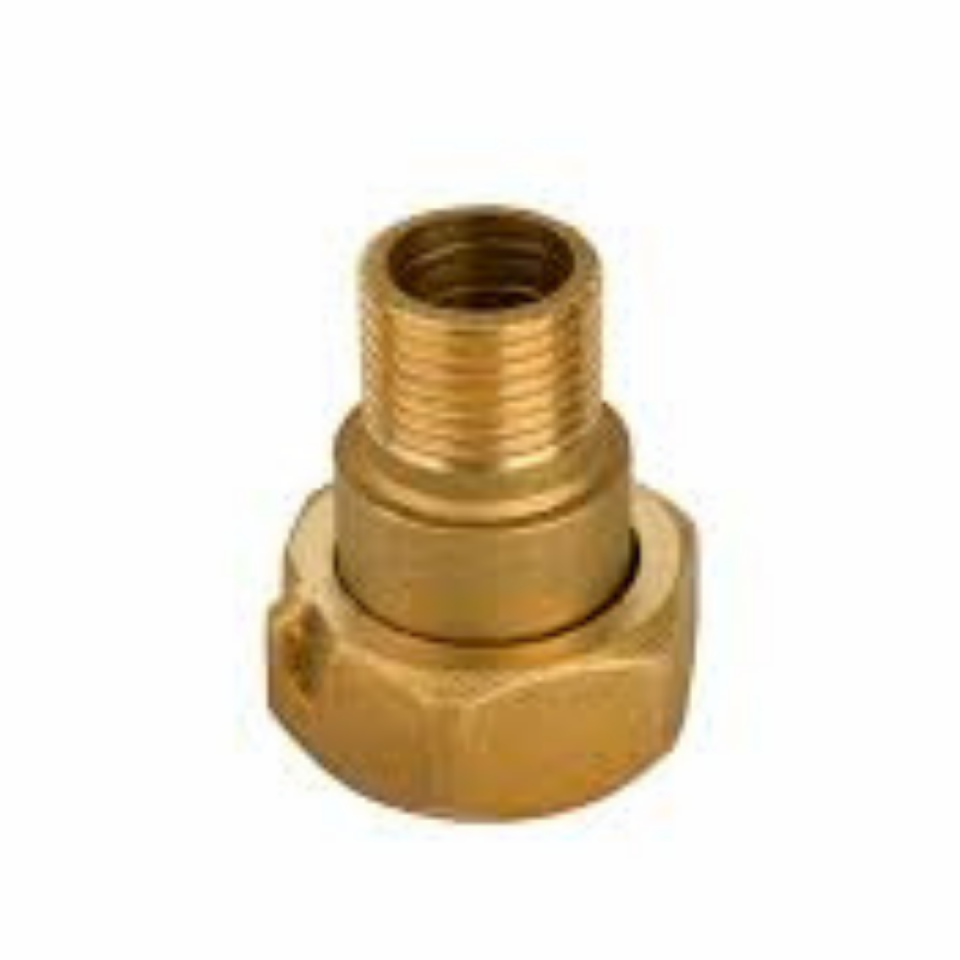 MUSLUK REKORU EKONOMİK