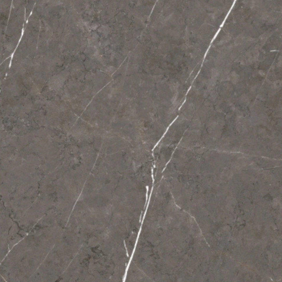 60X60 PALERMO BROWN REC