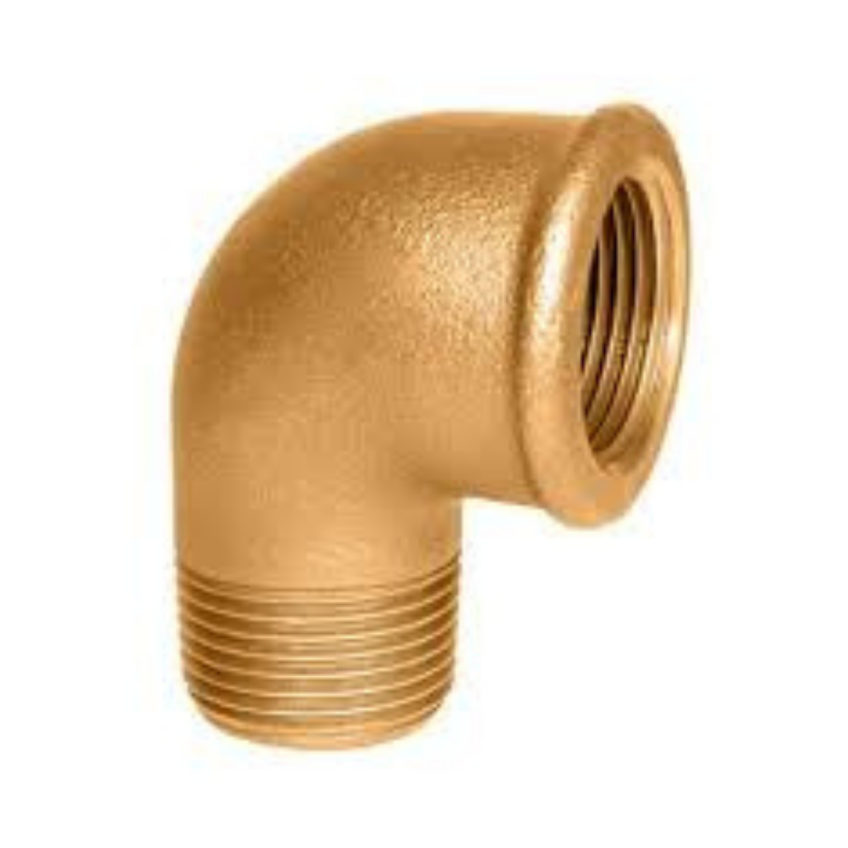 1 SARI KUYRUKLU DİRSEK