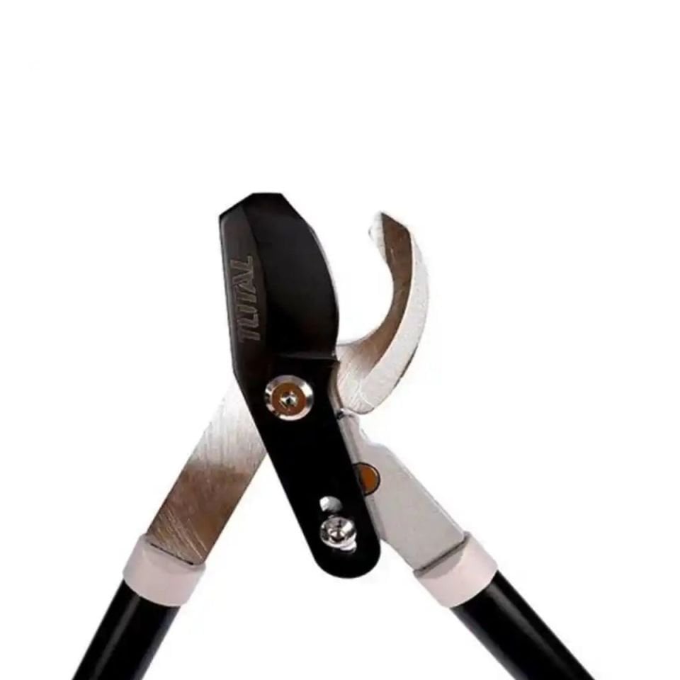 TOTAL DAL BUDAMA MAKASI THT1527608