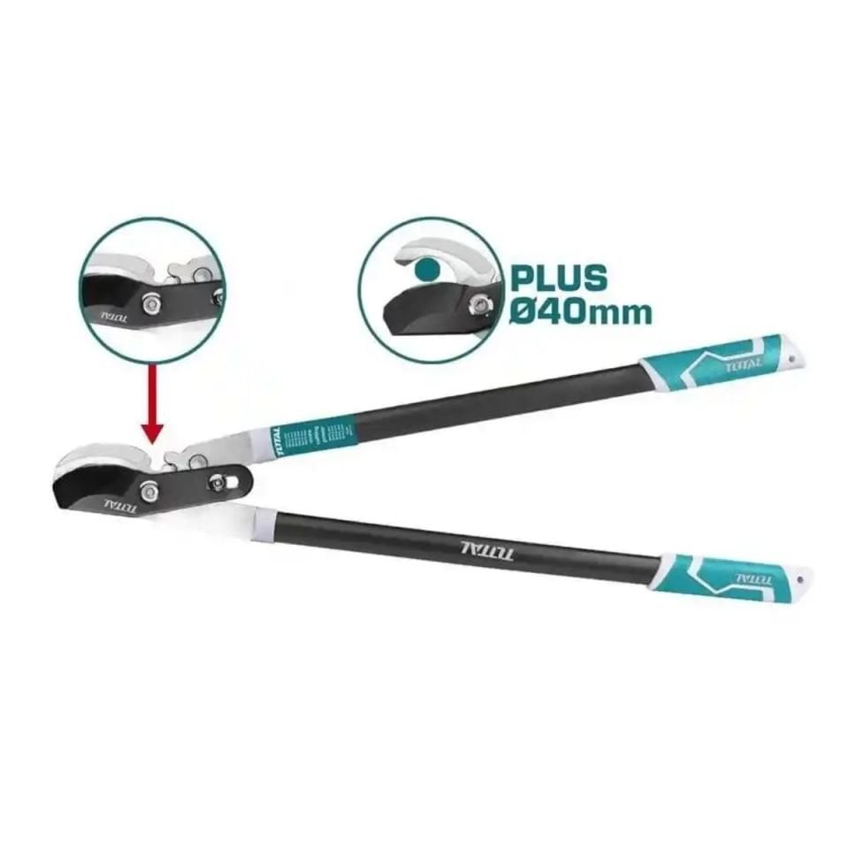 TOTAL DAL BUDAMA MAKASI THT1527608