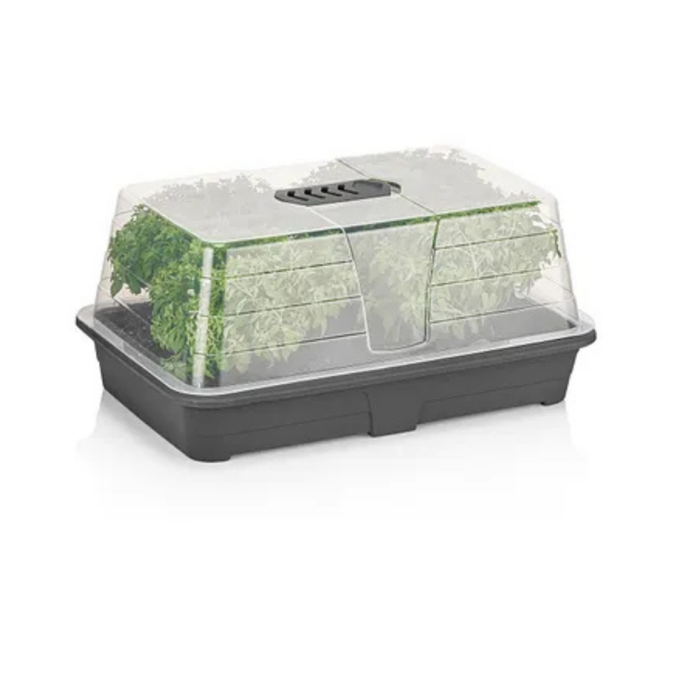 SAKSI FİDE YETİŞTİRME FANUS NO:2