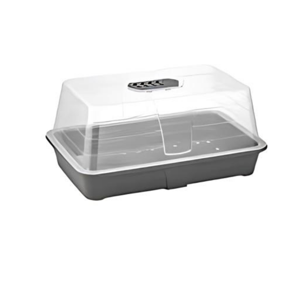 SAKSI FİDE YETİŞTİRME FANUS NO:2