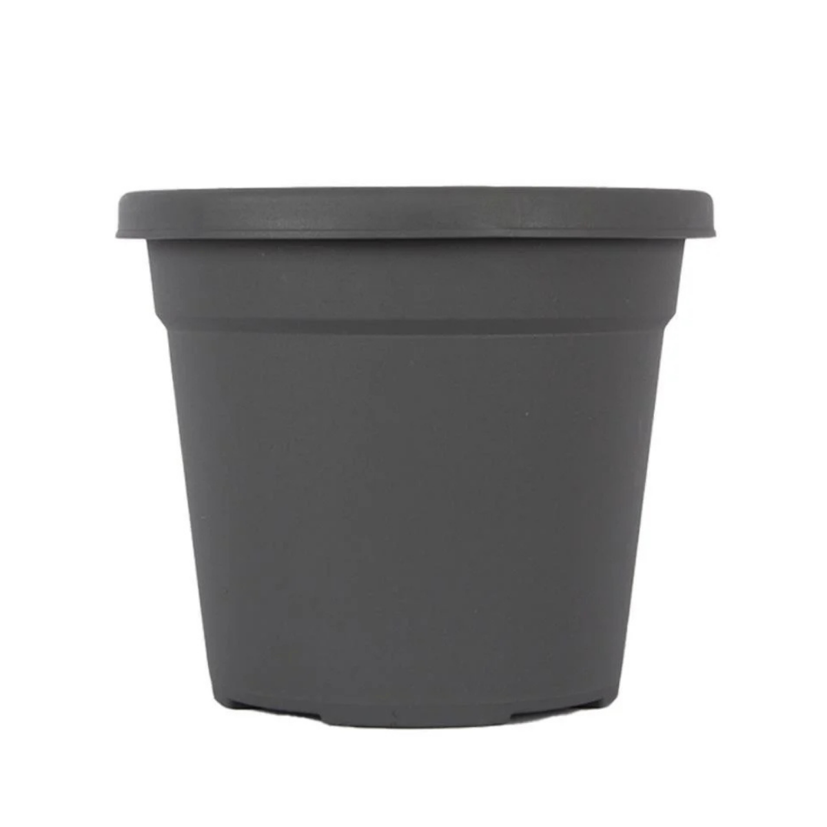 SAKSI VAHA NO:6 21 LT