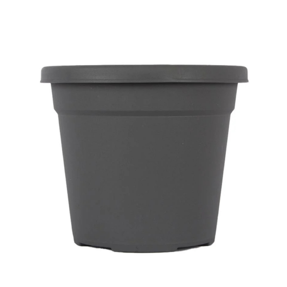 SAKSI VAHA NO:6 21 LT