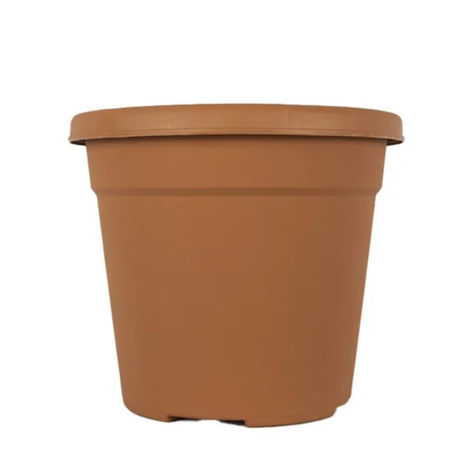 SAKSI VAHA NO:6 21 LT