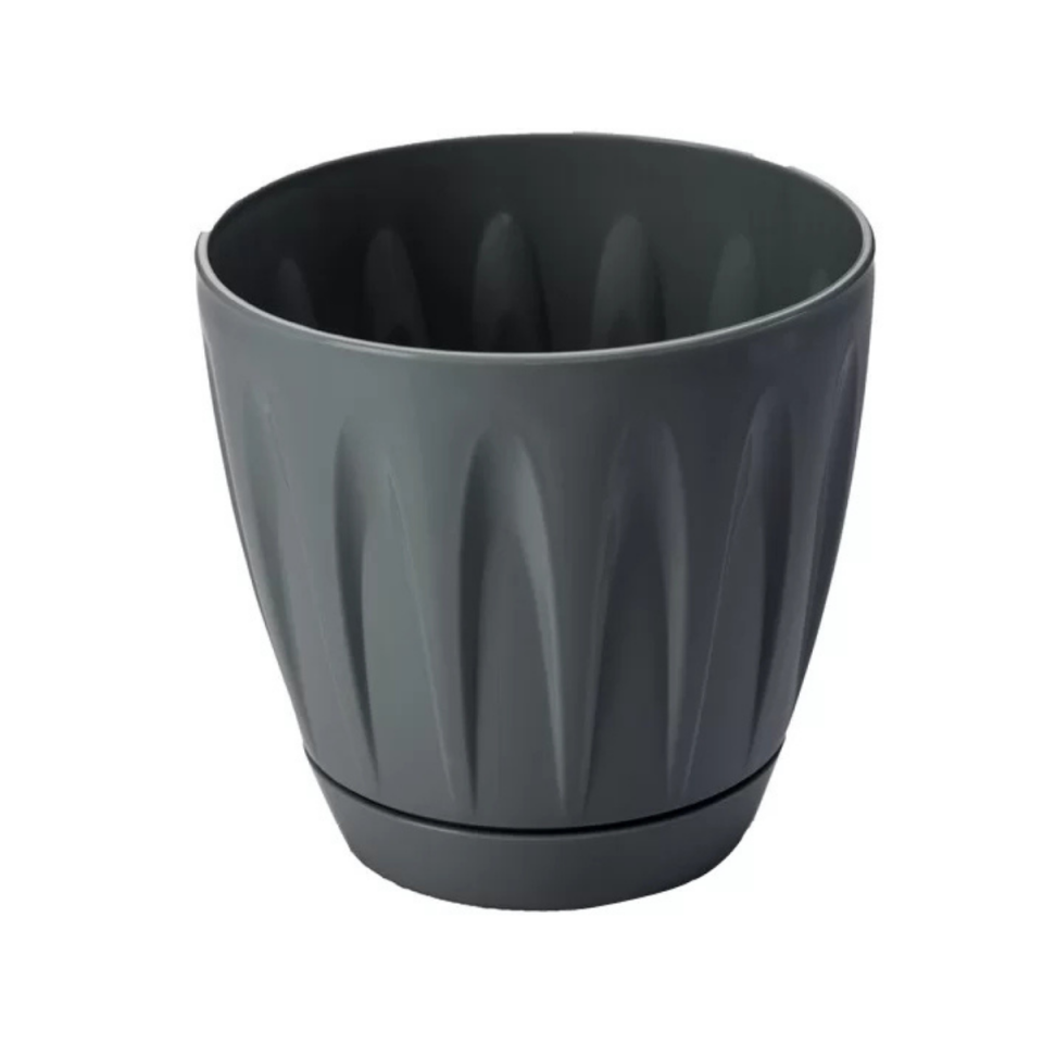 SAKSI PAPATYA NO:4 6 LT