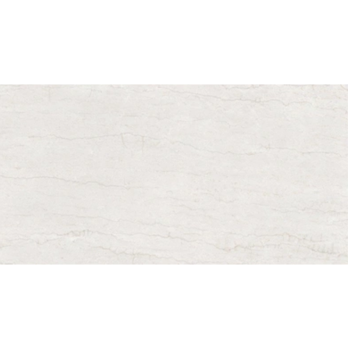 60X120 PORTLAND MATT BONE