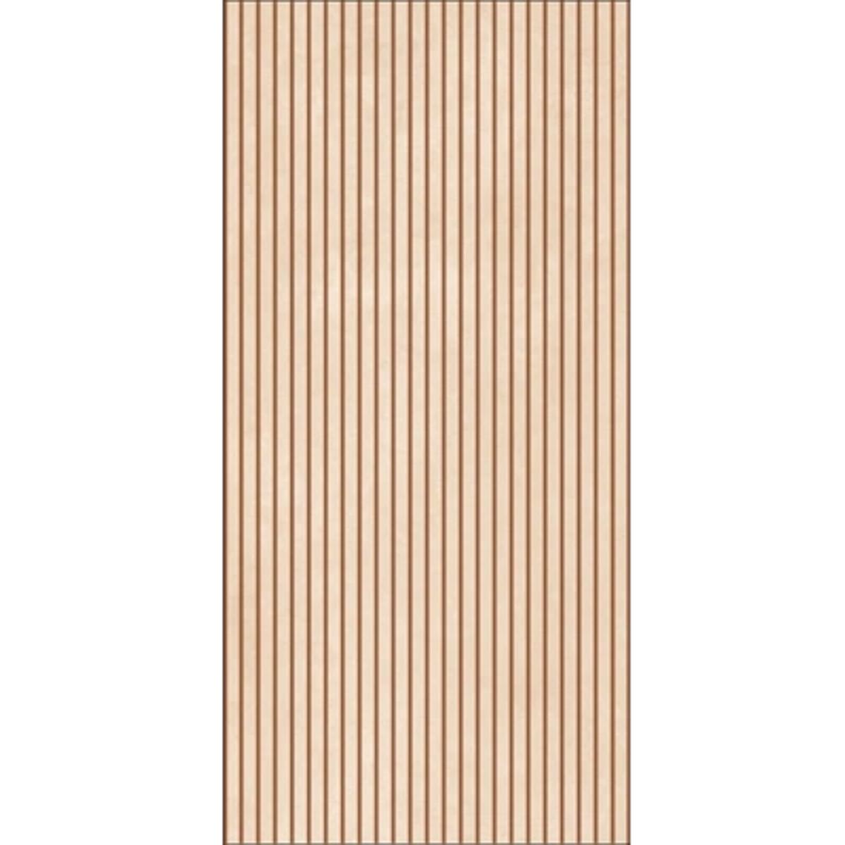 60X120 COLOR POUDRE LINE