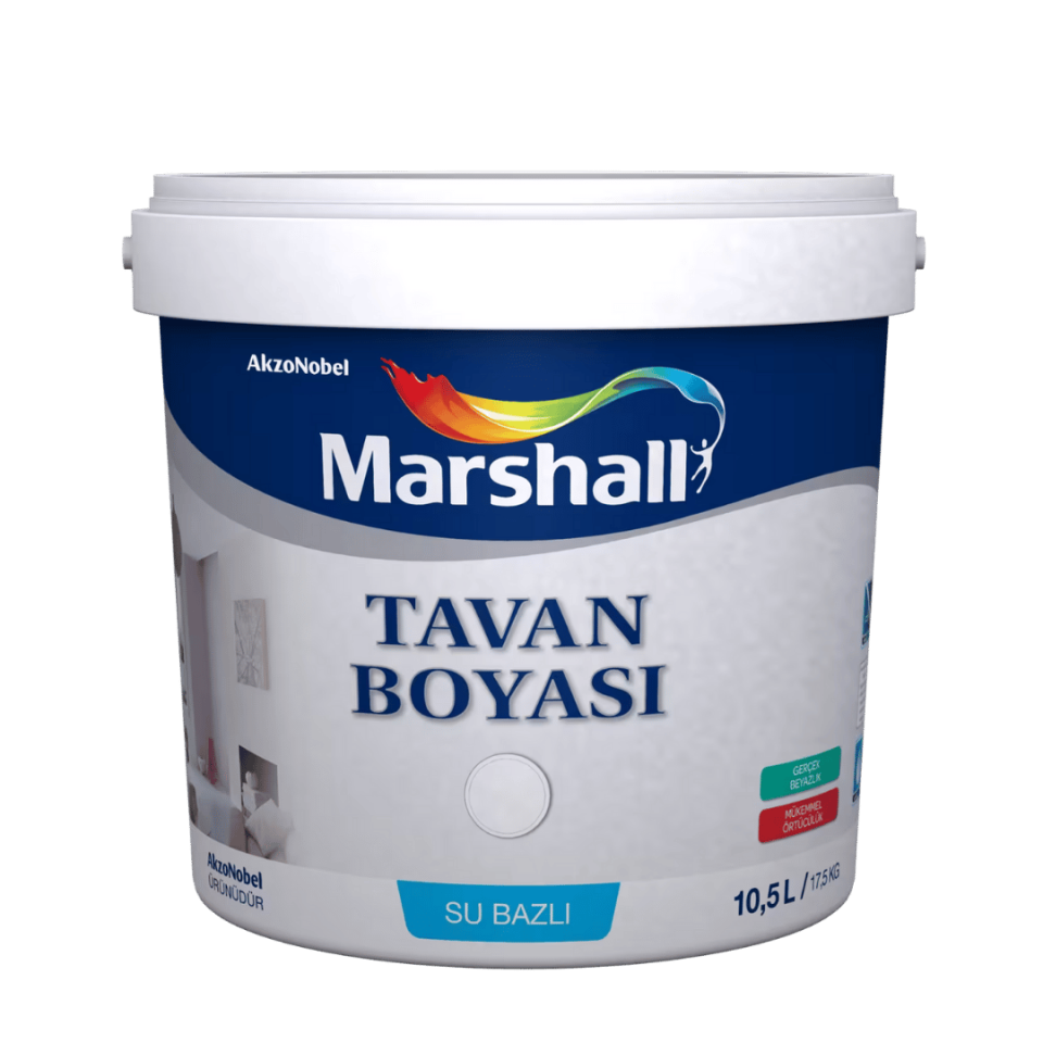 MARSHALL TAVAN BOYASI 2,1 LT 5620858