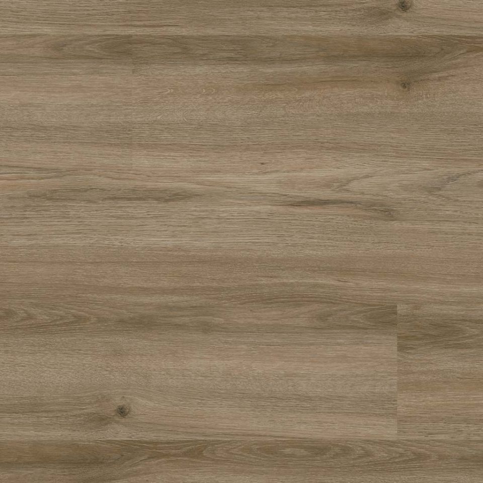 ÇAMSAN ILGAZ MEŞE KLASİK 31.SINIF 8 MM 1,85 M2