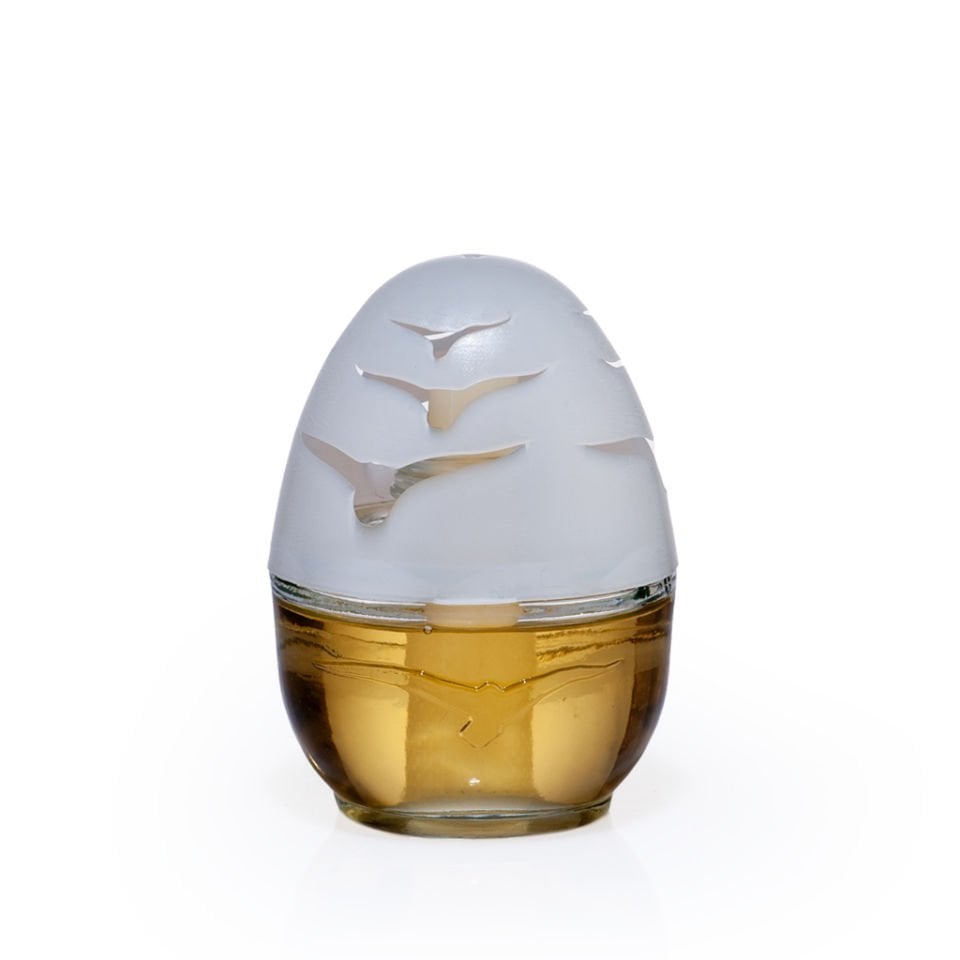 AUTOKIT DEEP WAY KÜRE KOKU ODUNSU 100ML FA2-1190D