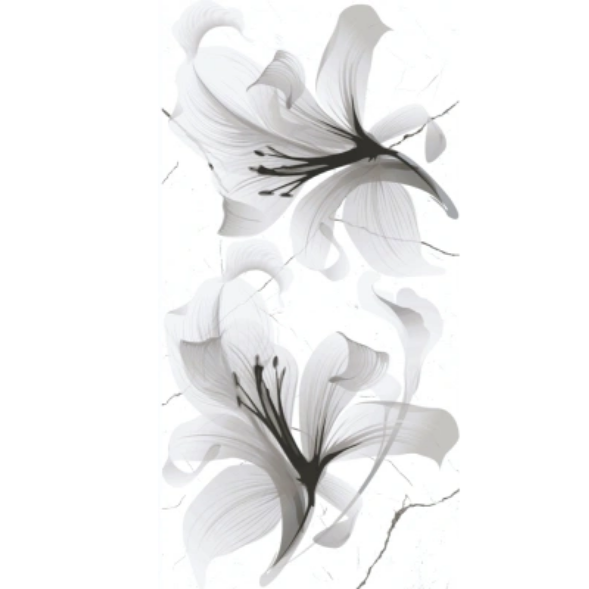 30X60 EROS LILYUM WHITE MOTİF