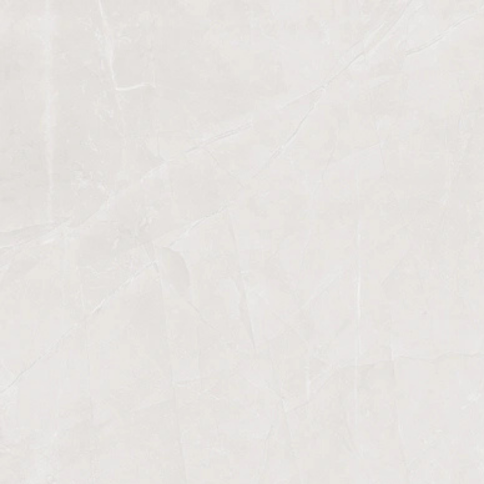 50X50 QUANTUM KEMİK END.