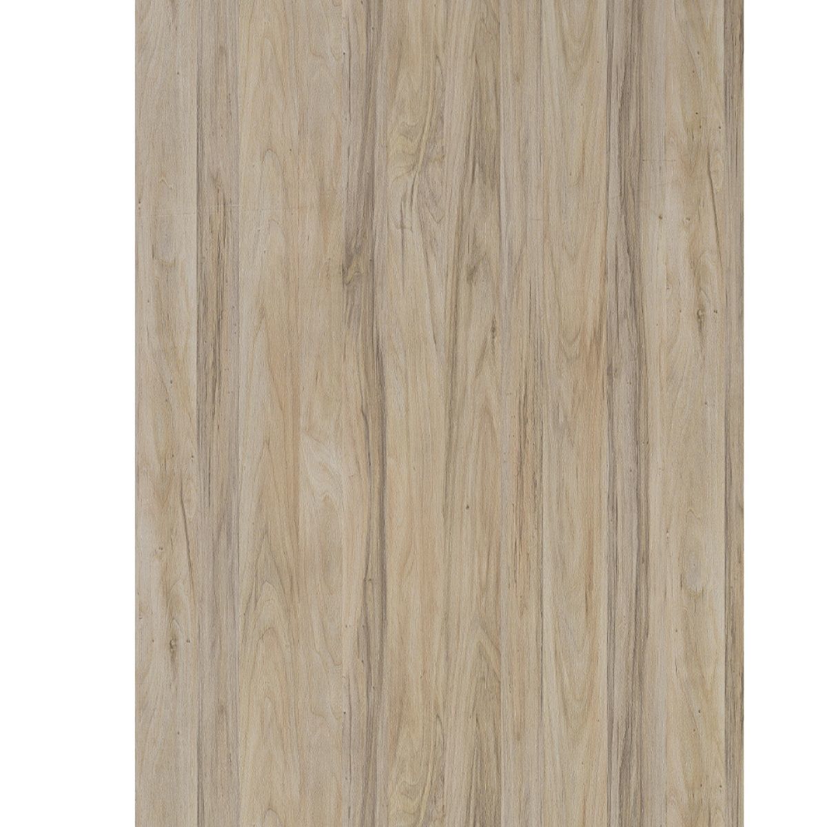 ÇAMSAN ORG.ZENBASE TARABYA AC3 1,853 M2