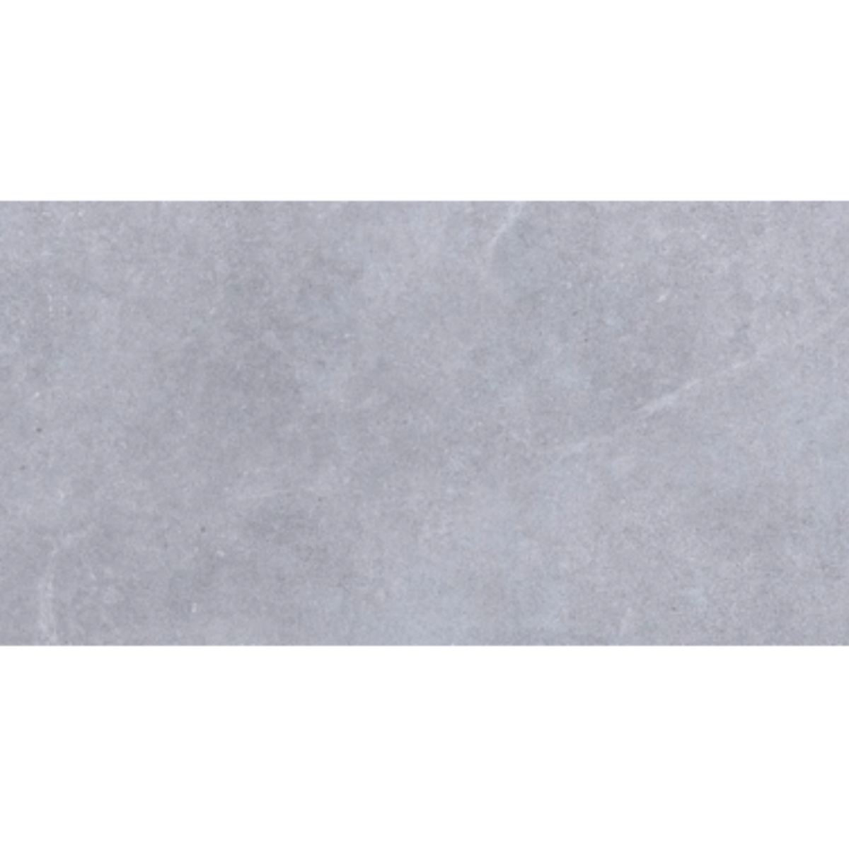 60X120 ARGILLA L.GRAY