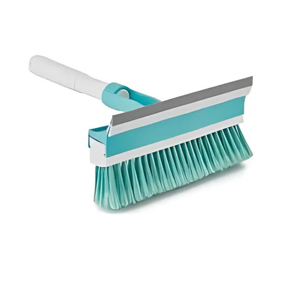 CAMSİL FIRÇALI FLORA