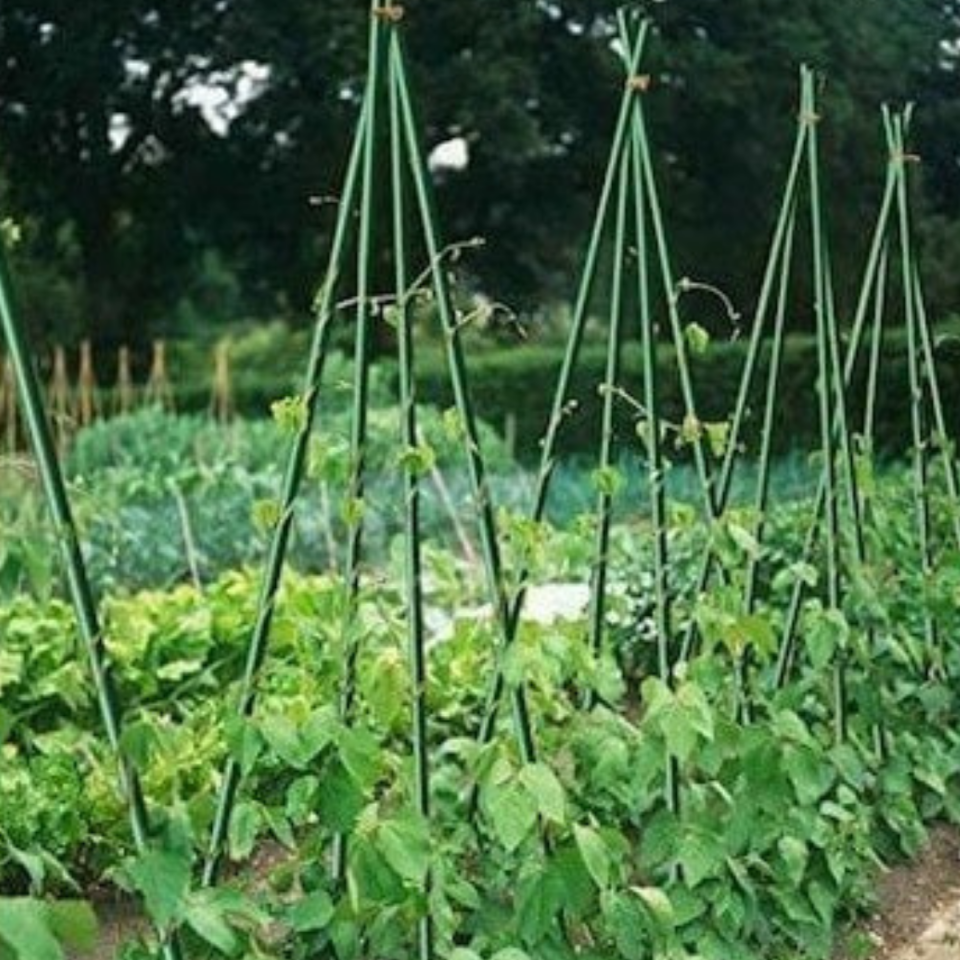 PVC BİTKİ DESTEK ÇUBUĞU 210 CM CSN-16-210