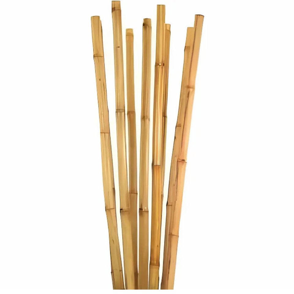 BAMBU BİTKİ DESTEK ÇUBUĞU  210 CM 63722
