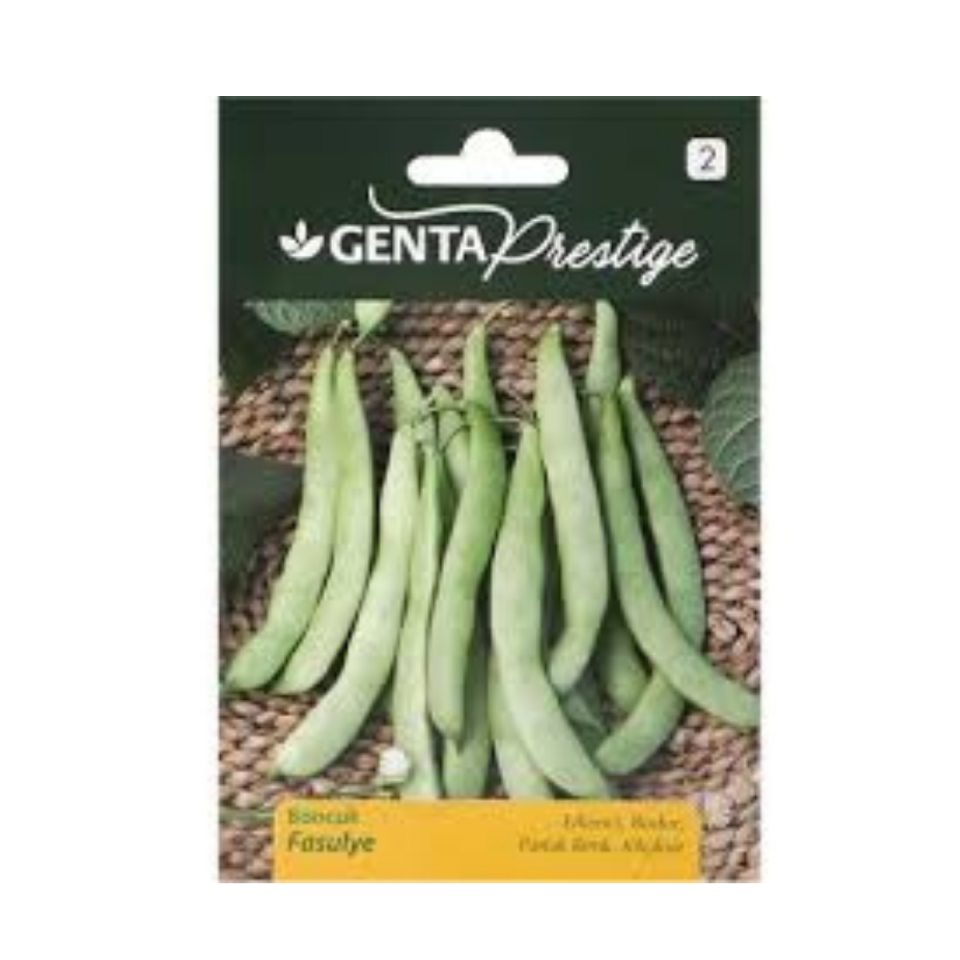 GENTA BONCUK FASULYE TOHUMU G061