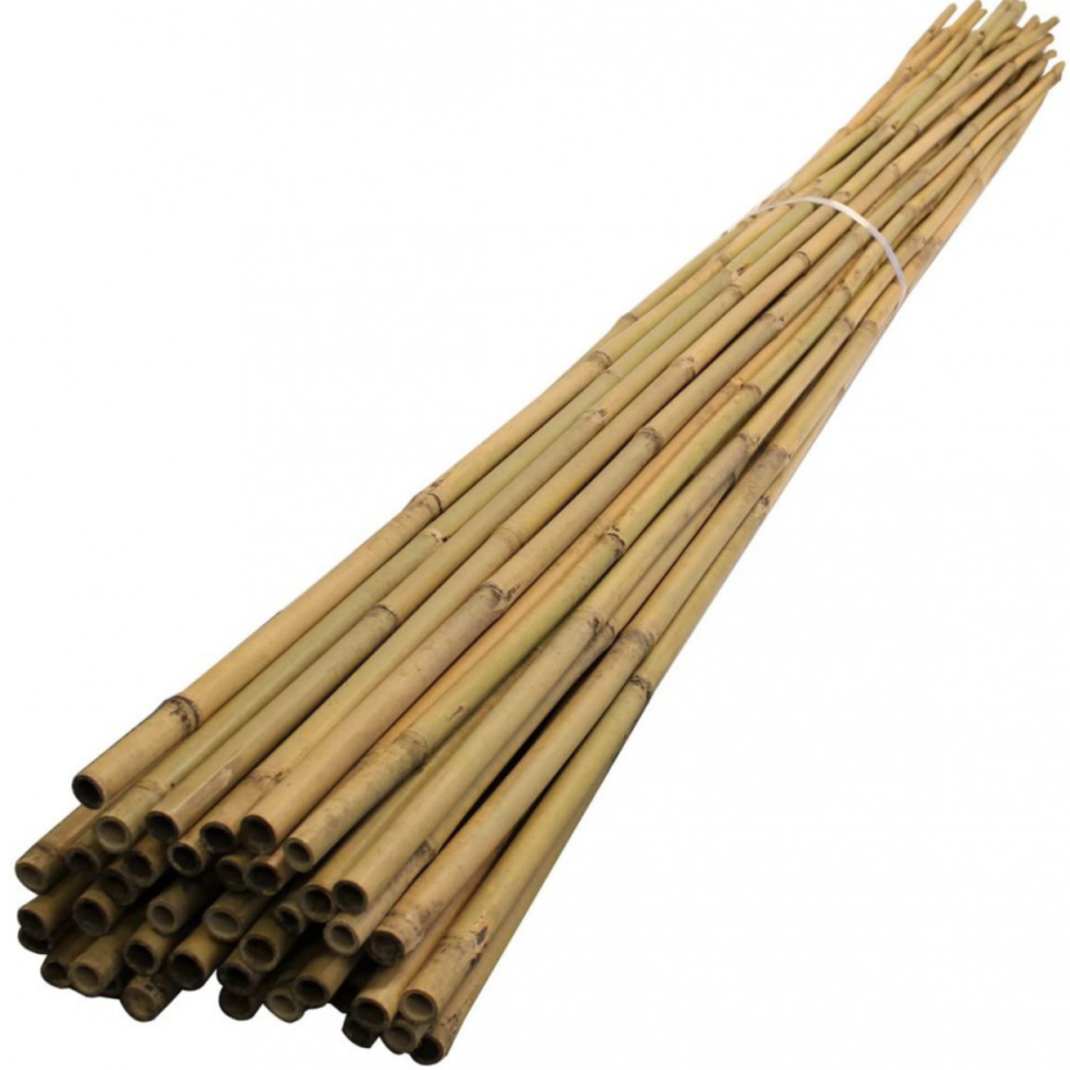 BAMBU BİTKİ DESTEK ÇUBUĞU 240 CM 63723
