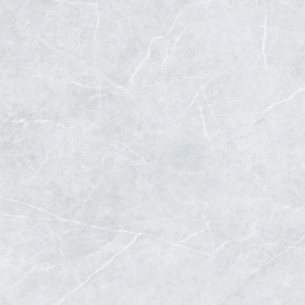 60X60 MOON GRAY SMOOTH ANTI-SLIP