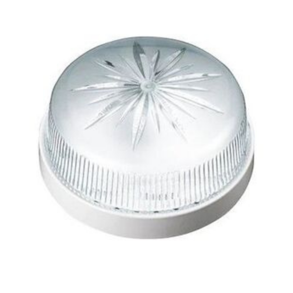 IŞILDAR PAPATYA GLOB