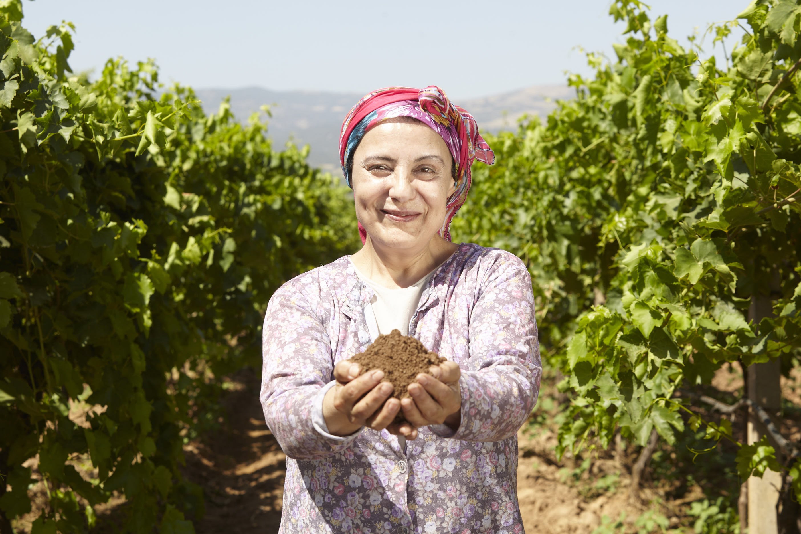 S.S. TARİŞ ÜZÜM TARIM SATIŞ KOOPERATİFLERİ BİRLİĞİ