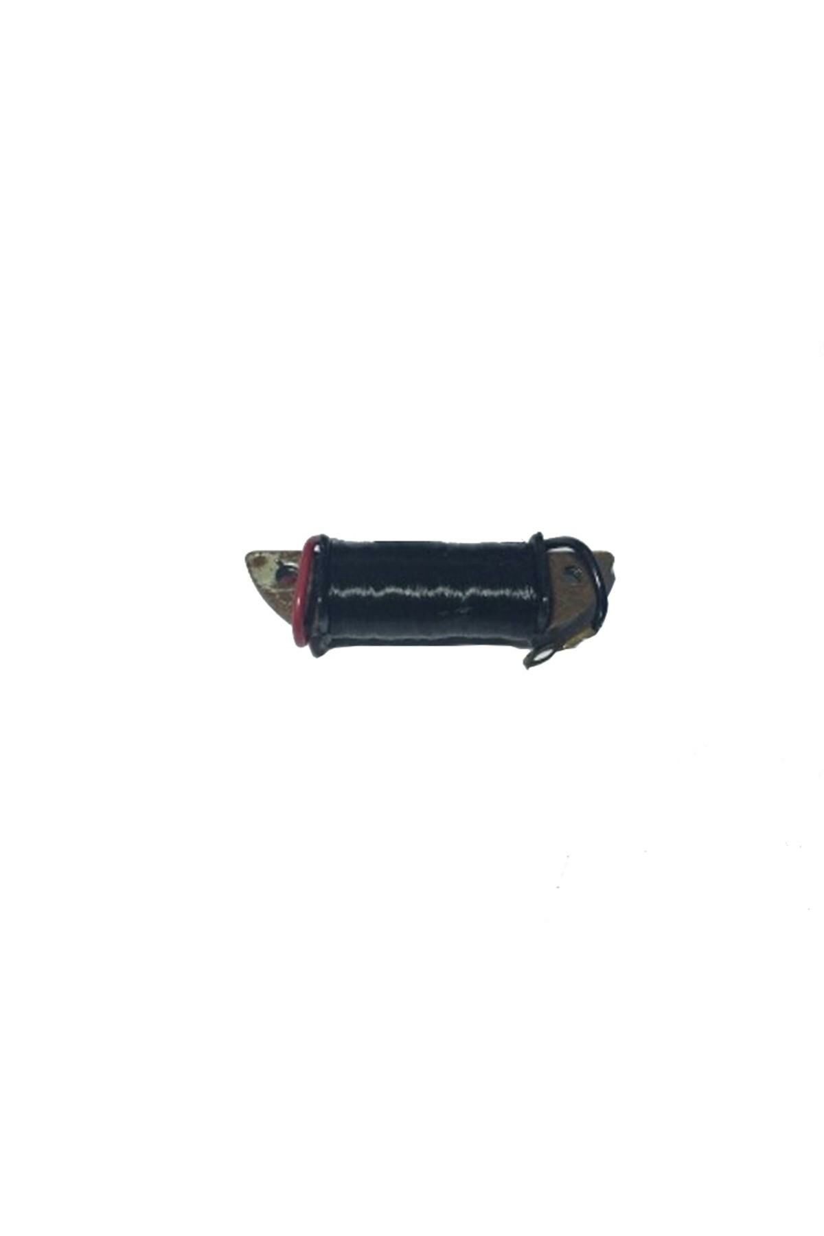 Rx115 Uyumlu Bobin İç Bezli İth