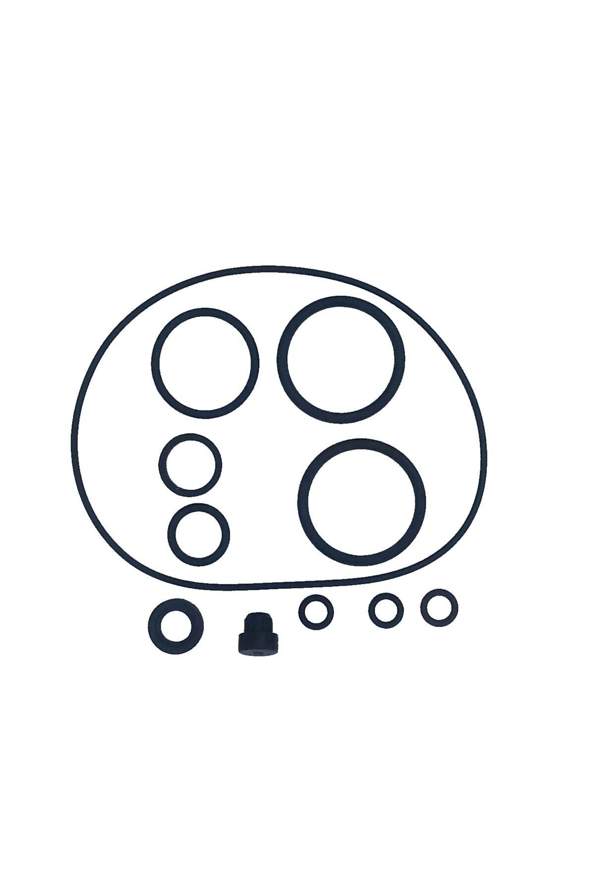 Ramzey Cub 100 Motor O-Ring Seti