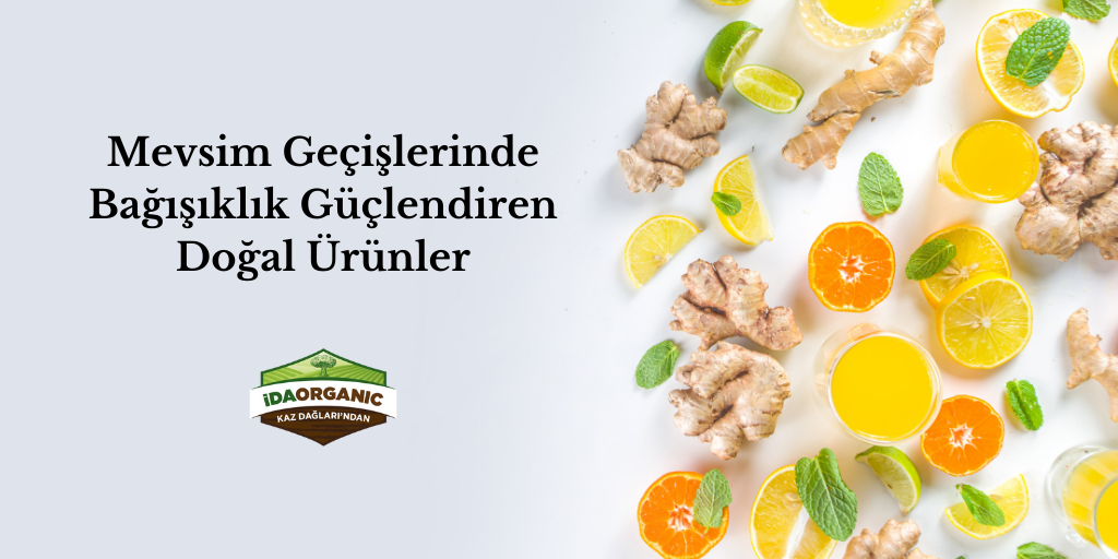 Mevsim Geçişlerinde Bağışıklık Güçlendiren Doğal Ürünler