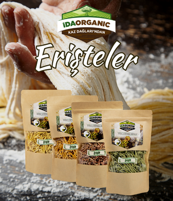 Erişteler