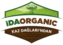Glutensiz Beslenmenin Faydaları - İdaOrganic