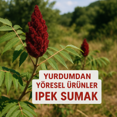 Sumak(200g)