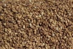 Susam (Kavrulmamış)(250g)