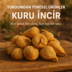 Kuru İncir(Aydın 1.kalite)