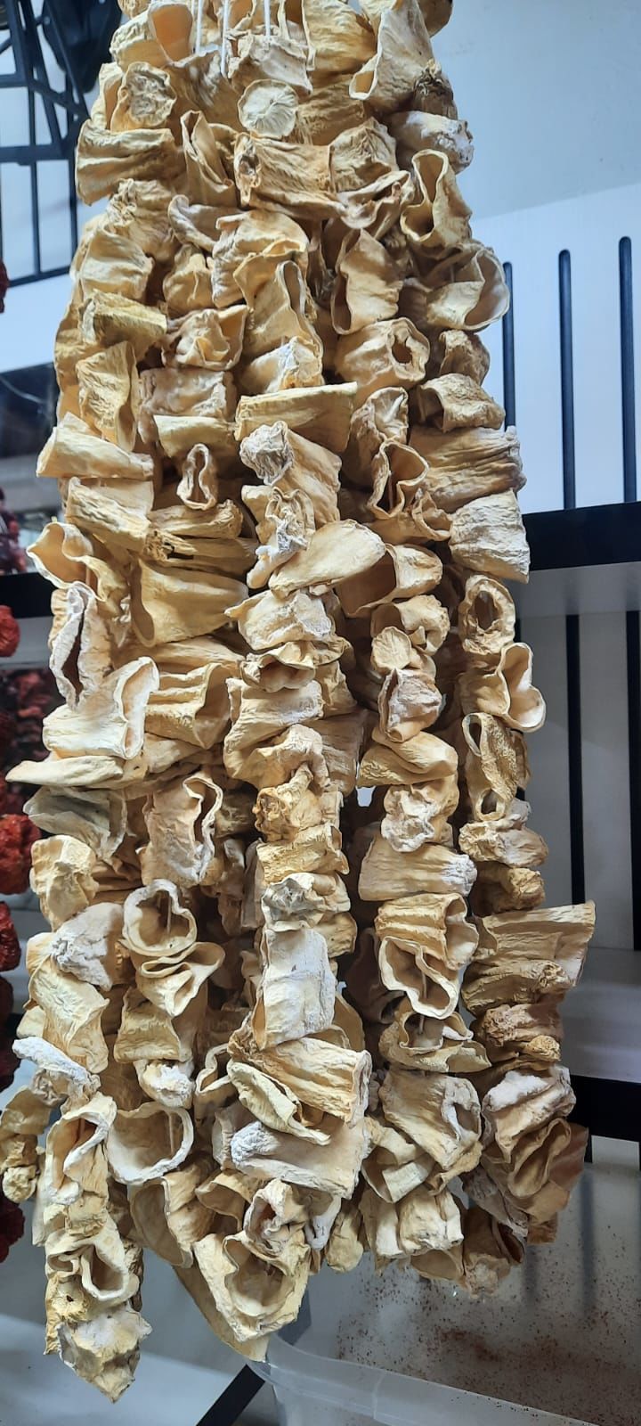 Kabak Dolması (Gaziantep)