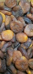 MALATYA KABAAŞI GÜN KURUSU JUMBO KAYISI 1.KALİTE