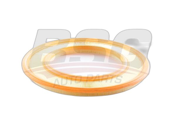 BSG 60-135-054 201 102 HAVA FİLTRESİ