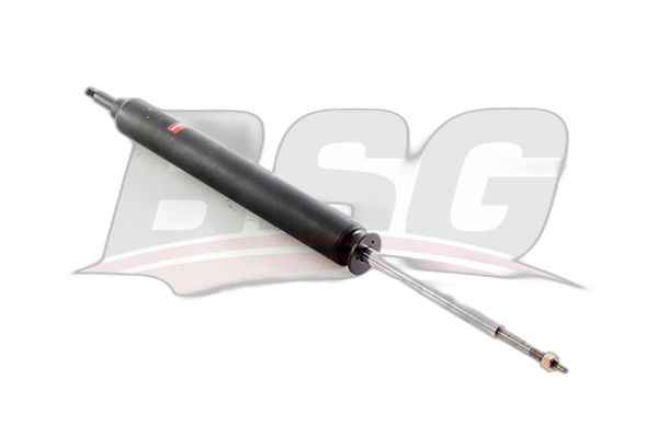 BSG 15-300-066 X1 E84 BM AMORTİSÖR ARKA SAG/SOL