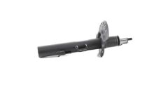 BSG 15-300-052 FREELANDER 2 BM AMORTİSÖR ARKA SAĞ SAĞ