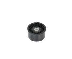BSG 65-615-044 MOVANO A VİVARO A 2.2 DTI 2.5 DTI G9T-720 G9U-720 EKSANTRİK GERGİ RULMANI