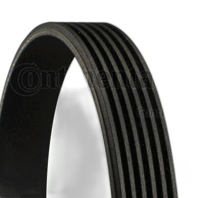 C 6PK 1460 CONNECT/FOCUS 1.8 TDCI V KAYIŞI 6PK 1460 / KLIMASIZ/97WF 6C301 AA