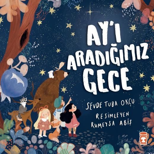 Ay'ı Aradığımız Gece