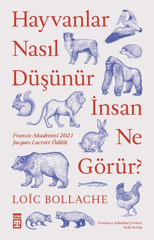 Hayvanlar Nasıl Düşünür, İnsan Ne Görür?