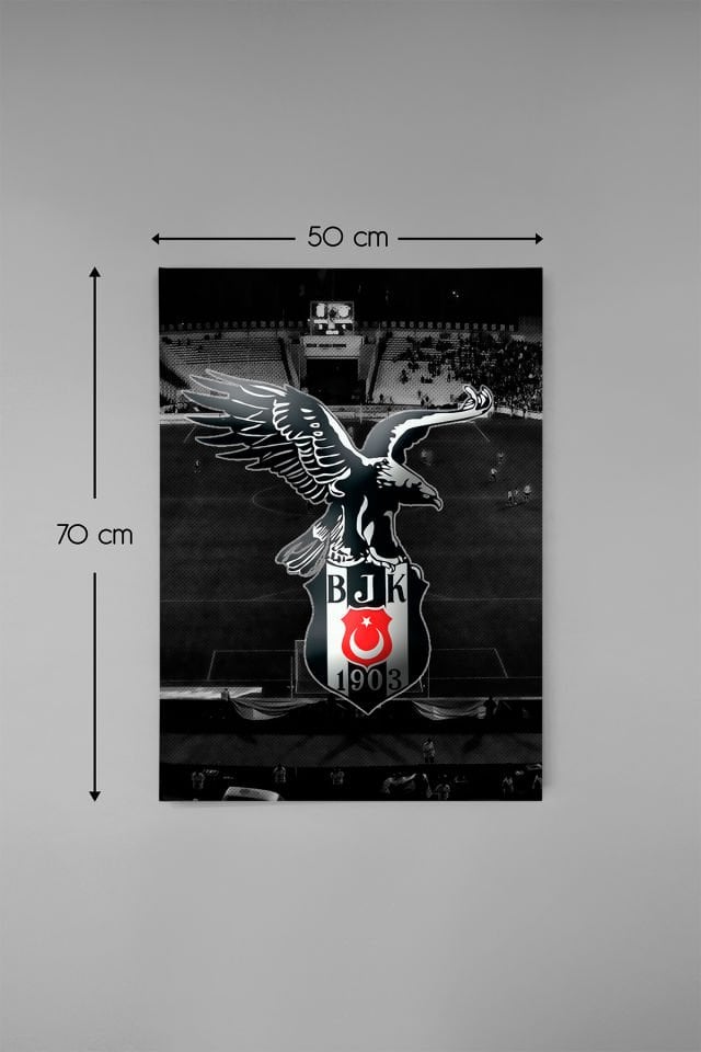 Dekoratif Kanvas Tablo ESK0007