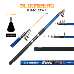Bloomberg Kingstar Tele Kamış 300cm
