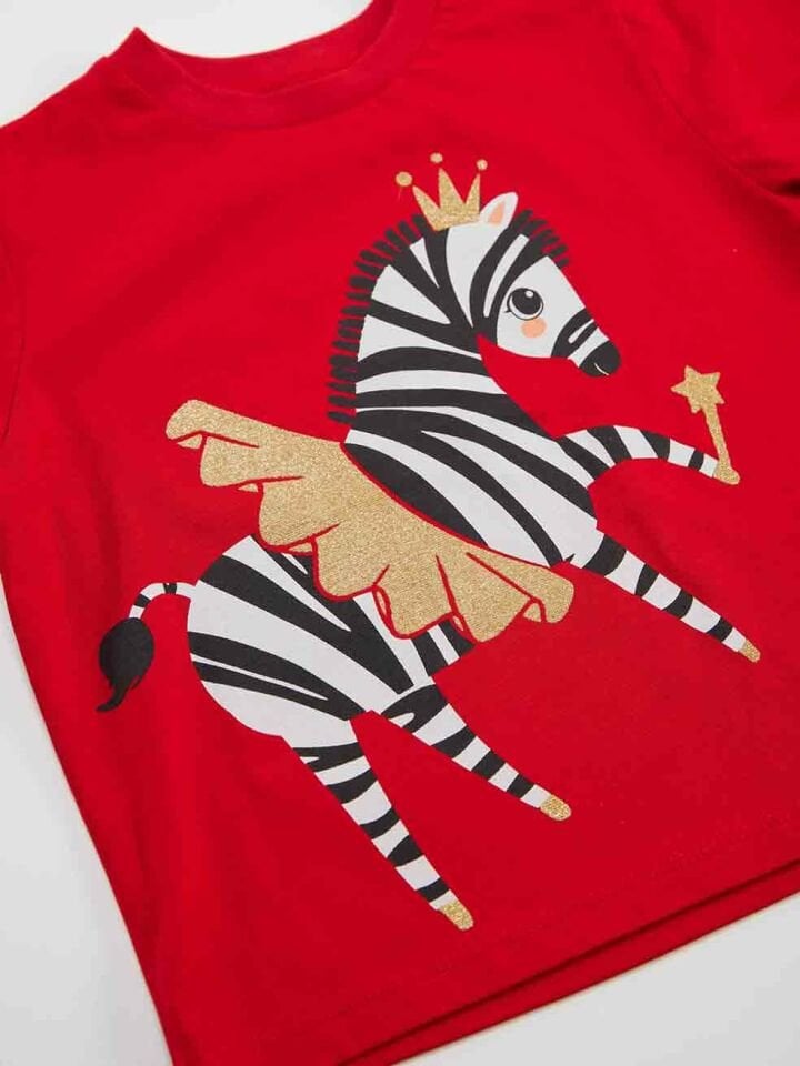 Balerin Zebra Kız Çocuk T-shirt Pantolon Takım 2 Y