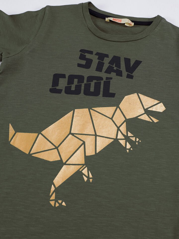 Cool T-Rex Erkek Çocuk T-shirt Gabardin Şort Takım